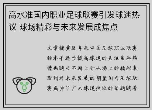 高水准国内职业足球联赛引发球迷热议 球场精彩与未来发展成焦点