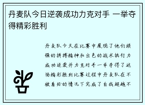 丹麦队今日逆袭成功力克对手 一举夺得精彩胜利
